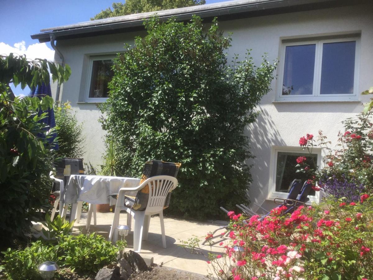 Ferienhaus Moock Horn-Bad Meinberg Ngoại thất bức ảnh